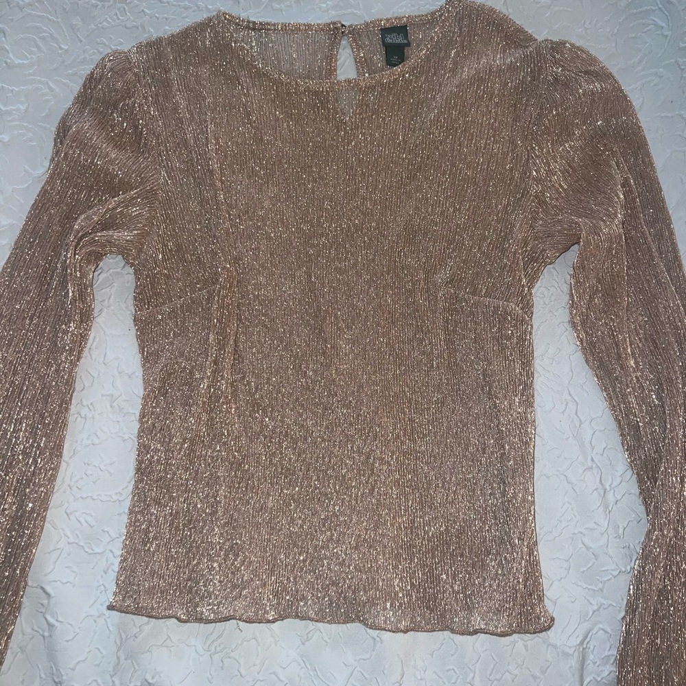 Sheer light pink top